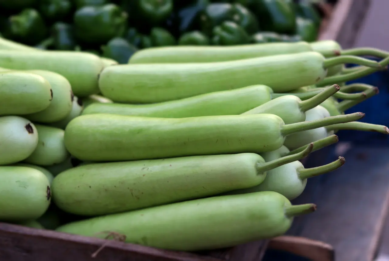 Unveiling the Nutritional Powerhouse: Benefits of Bottle Gourd Juice