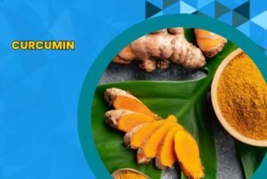 Image: Curcumin