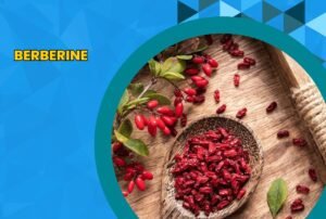 Image: Berberine