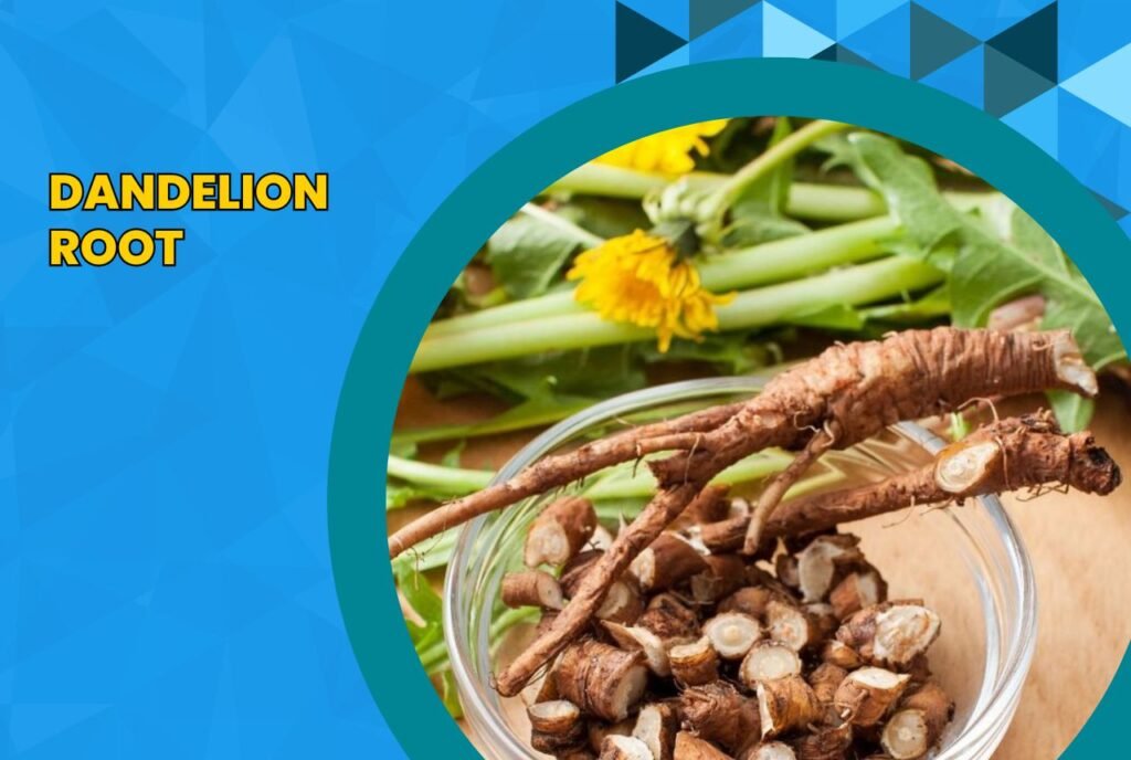 Image: Dandelion Root