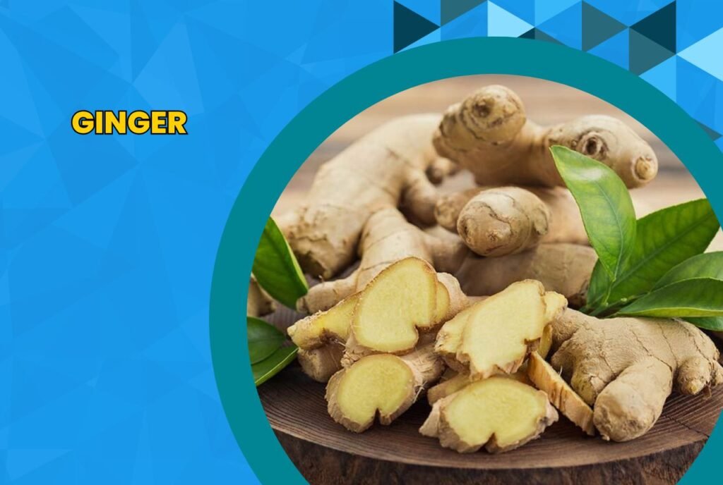 Image: Ginger