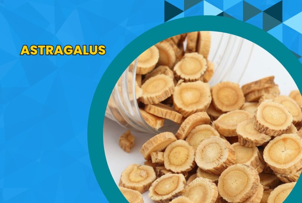Image: Astragalus